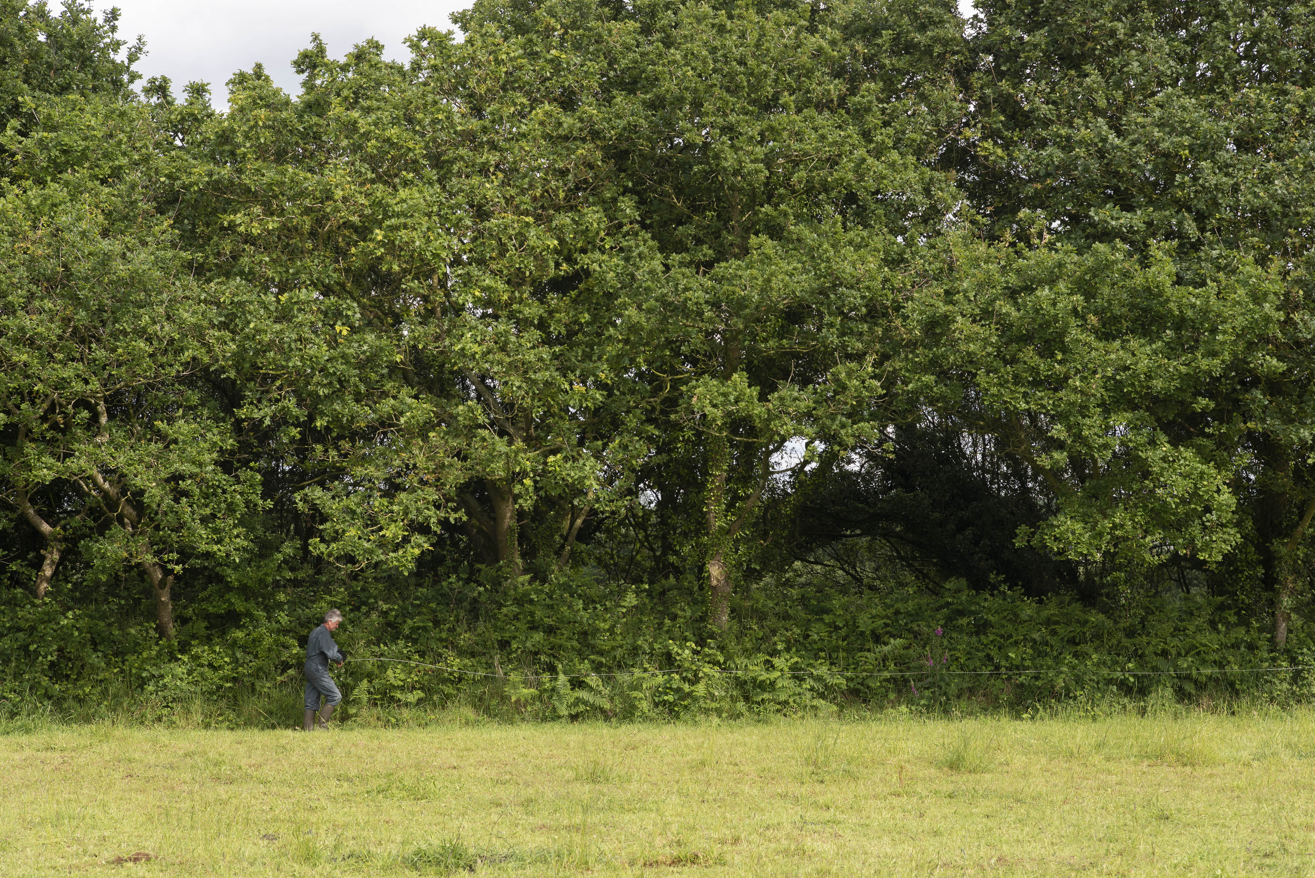 Lancement de la Coopérative Climat de Bretagne en fin d'année